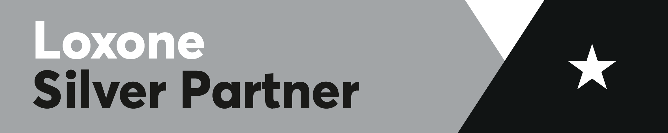 Loxone Logo Partner Silver